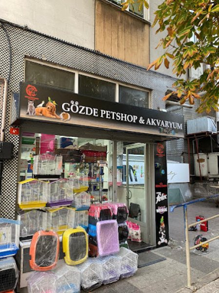 GÖZDE PETSHOP AKVARYUM