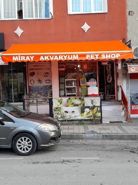 MİRAY PETSHOP AKVARYUM