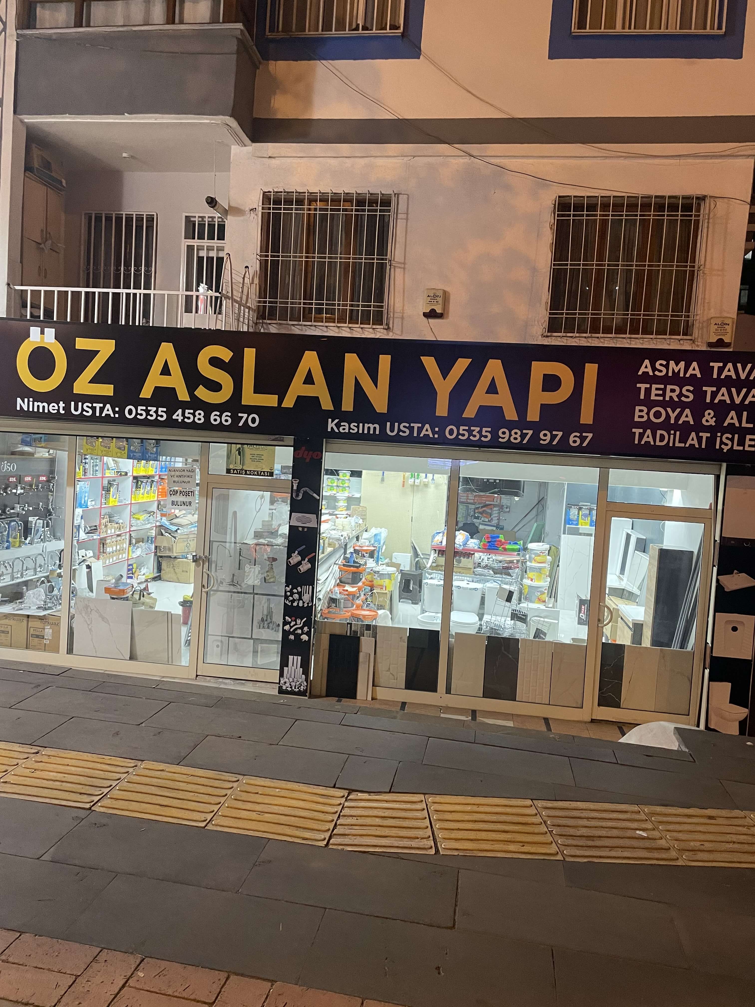 Öz aslan yapı