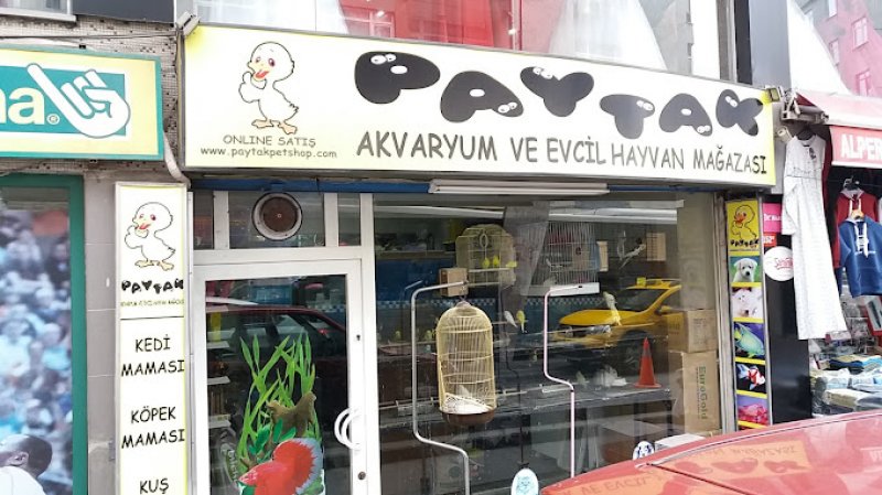 Paytak petshop