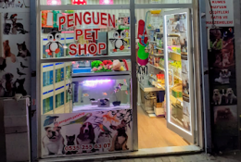 Penguen Petshop güneşli