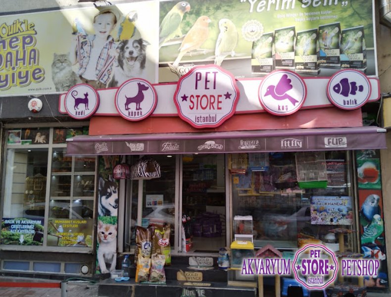 Pet Store Istanbul