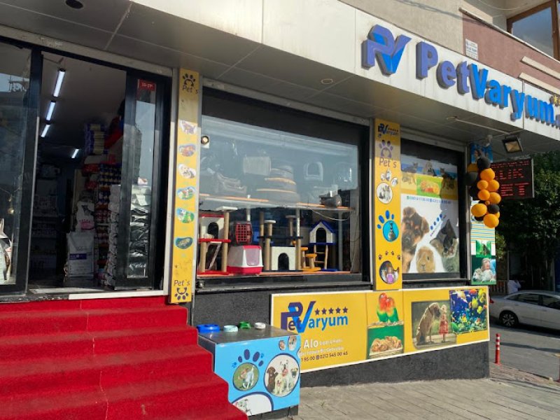 PetVaryum Akvaryum ve PetShop Gaziosmanpaşa