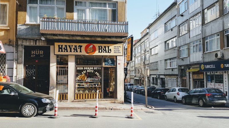 Hayat Bal