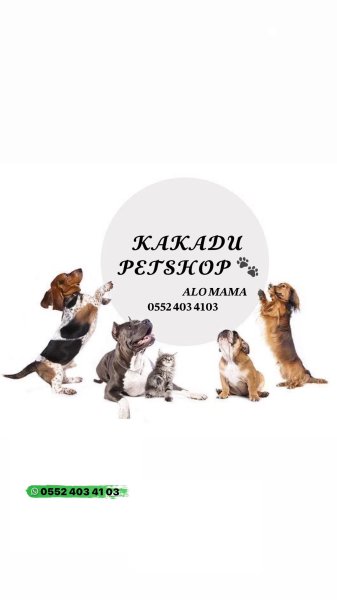Kakadu petshop
