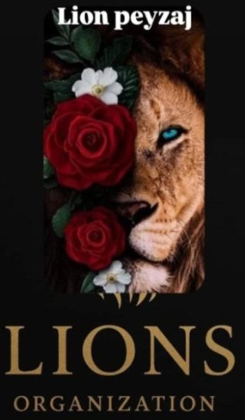 Lion peyzaj 