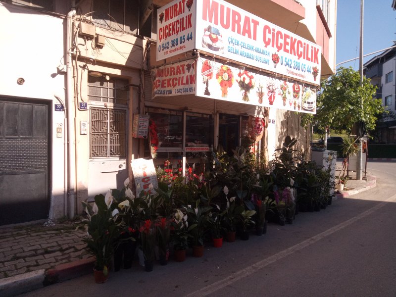 Nazilli çiçekçi murat 7/24 çiçekçi 