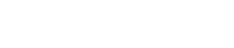 mode car premium service