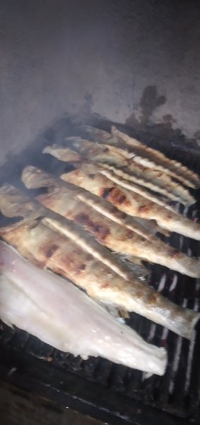 Dalyan balik pişirme 