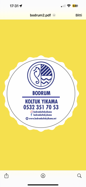 Bodrum Koltuk Yıkama