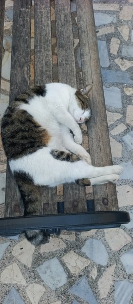 Ecce Kırtasiye
