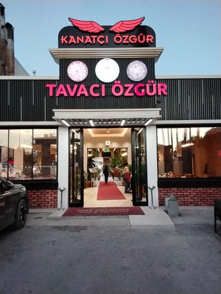 Tavacı özgür 