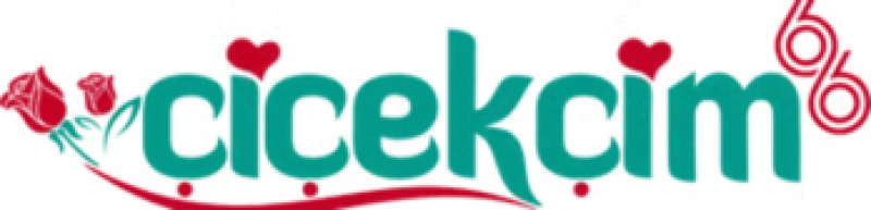 Çiçekçim 66 Yozgat
