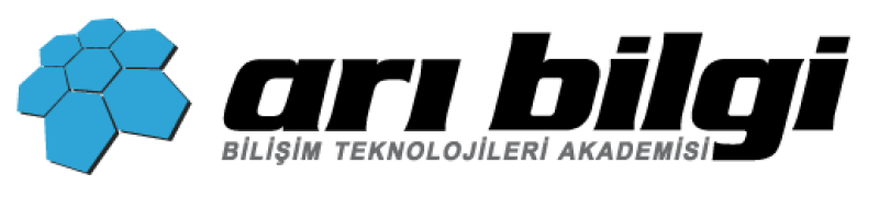 Arı Bilgi Bilişim Teknolojileri Akademisi