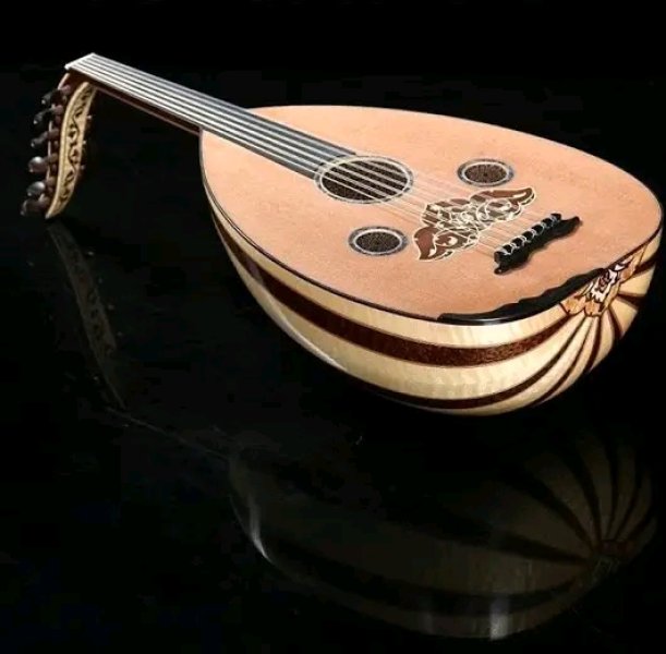 ANKARA FASİL EKİBİ KİRALAMA 