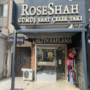 Roseshah Gümüş Saat Çelik Takı