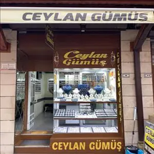 Ceylan Gümüş